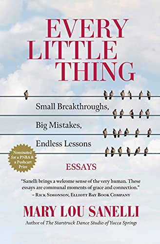 Beispielbild fr Every Little Thing: Small Breakthroughs, Big Mistakes, Endless Lessons zum Verkauf von Powell's Bookstores Chicago, ABAA