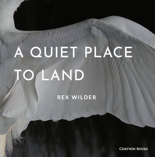 9781633981560: A Quiet Place to Land (Deluxe Hardcover Edition With Signed Giclee Photograph)
