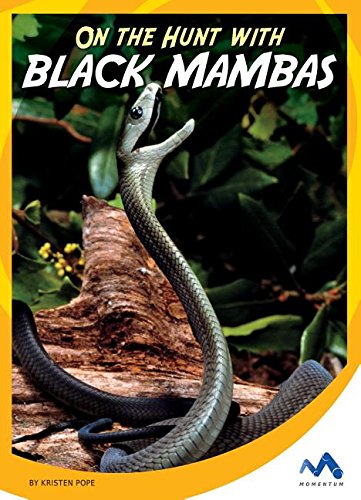 9781634074483: On the Hunt with Black Mambas (On the Hunt With Animal Predators)