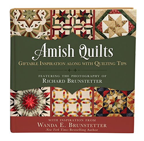 Beispielbild fr Amish Quilts: Giftable Inspiration along with Quilting Tips zum Verkauf von BooksRun