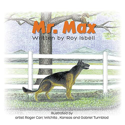 Stock image for Mr. Max for sale by ThriftBooks-Dallas