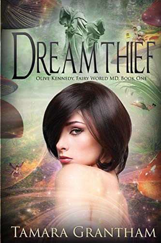 Stock image for Dreamthief for sale by ThriftBooks-Dallas