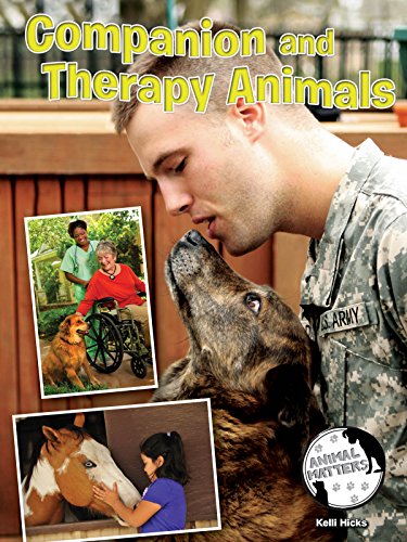 9781634300681: Companion and Therapy Animals (Animal Matters)