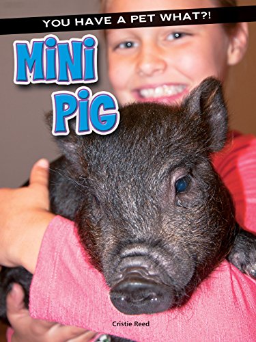 Beispielbild fr Mini Pig zum Verkauf von Better World Books