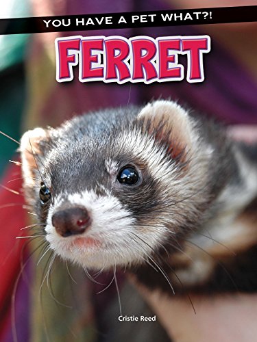 Beispielbild fr Ferret zum Verkauf von Better World Books