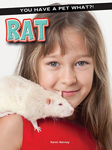 Stock image for Rat (You Have a Pet What?!) for sale by Irish Booksellers
