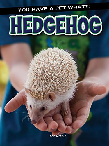 9781634305334: Hedgehog (You Have a Pet What?!)