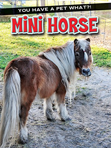 Imagen de archivo de Mini Horse (You Have a Pet What?!) a la venta por Book Deals