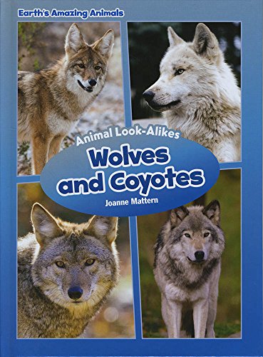 9781634402910: WOLVES & COYOTES (Animal Look-Alikes)