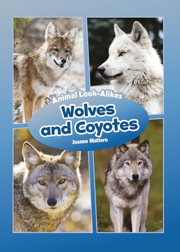 9781634402910: Wolves and Coyotes (Core Content Science ― Animal Look-Alikes)