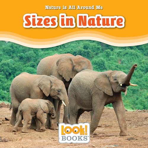 9781634403016: Sizes in Nature (Nature Is All Around Me (LOOK! Books ™))