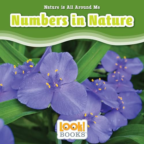 9781634403542: Numbers in Nature (Nature Is All Around Me (LOOK! Books ™))