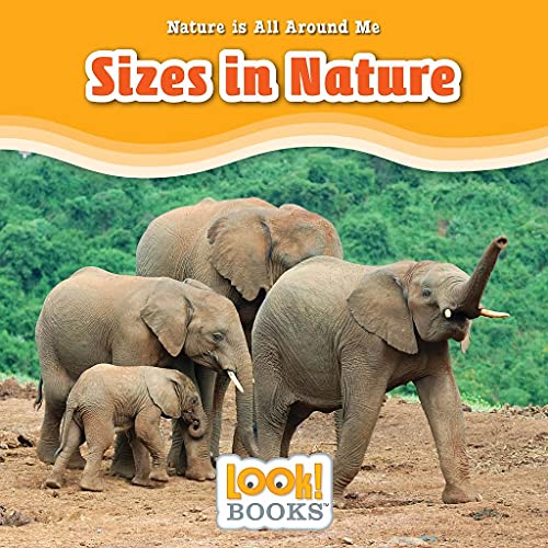 Stock image for Sizes in Nature (Nature Is All Around Me: Look! Books) for sale by WorldofBooks