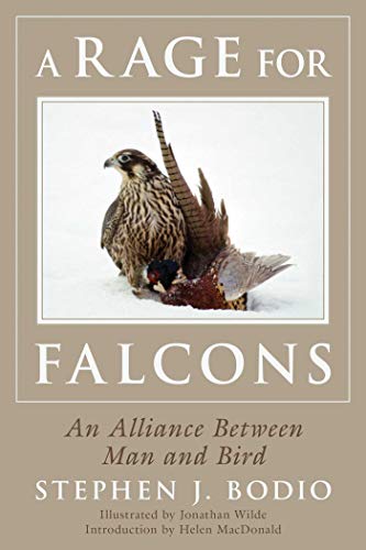 Imagen de archivo de A Rage for Falcons: An Alliance Between Man and Bird a la venta por Zoom Books Company