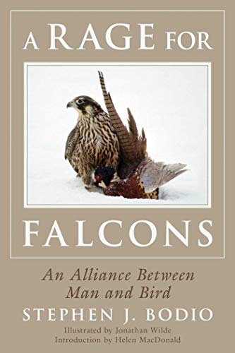 Stock image for A Rage for Falcons: An Alliance Between Man and Bird for sale by Zoom Books Company