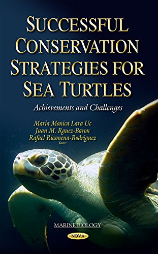 Beispielbild fr Successful Conservation Strategies for Sea Turtles Achievements Challenges Marine Biology zum Verkauf von PBShop.store US