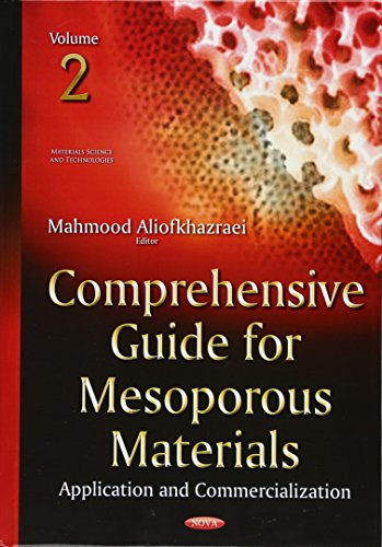 Stock image for Comprehensive Guide for Mesoporous Materials, Volume 2 Volume 2 Analysis Functionalization Materials Science and Technologies for sale by PBShop.store US