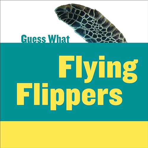 Beispielbild fr Flying Flippers : Sea Turtle zum Verkauf von Better World Books