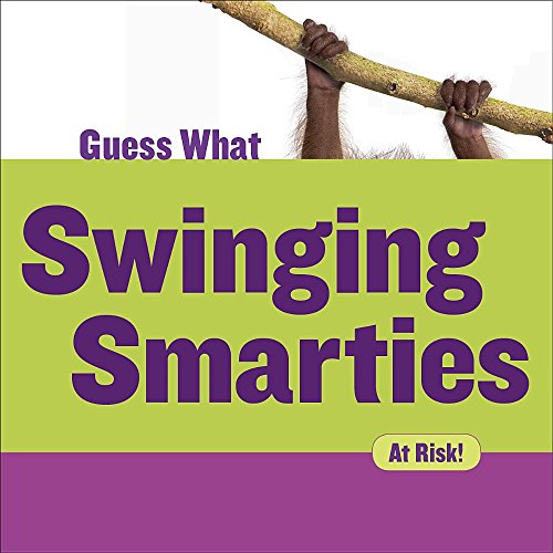 Imagen de archivo de Swinging Smarties : Orangutan a la venta por Better World Books: West