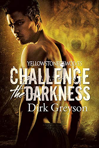 Stock image for Challenge the Darkness: Volume 1 for sale by ThriftBooks-Atlanta
