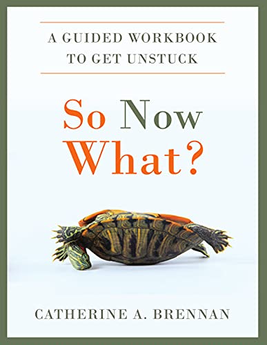 Beispielbild fr So Now What?: A Guided Workbook to Get Unstuck zum Verkauf von Buchpark