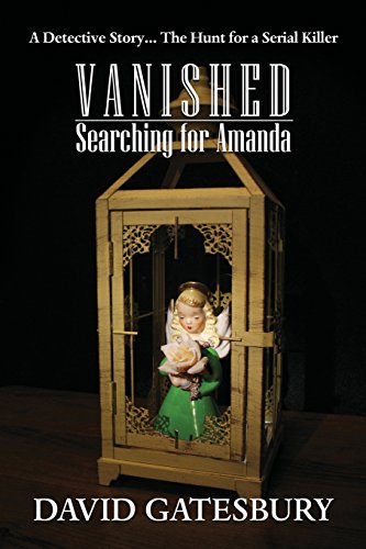 Beispielbild fr Vanished: Searching for Amanda zum Verkauf von Lucky's Textbooks