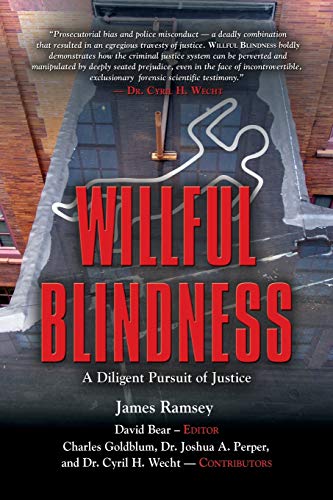 Stock image for Willful Blindness: A Diligent Pursuit of Justice for sale by SecondSale