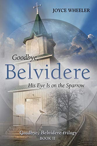 Imagen de archivo de Goodbye, Belvidere: His Eye Is on the Sparrow a la venta por Red's Corner LLC