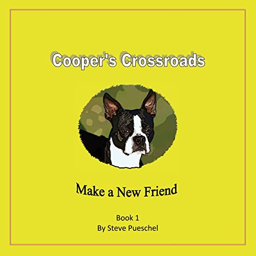 Stock image for Cooper's Crossroads: Make a New Friend for sale by Lucky's Textbooks