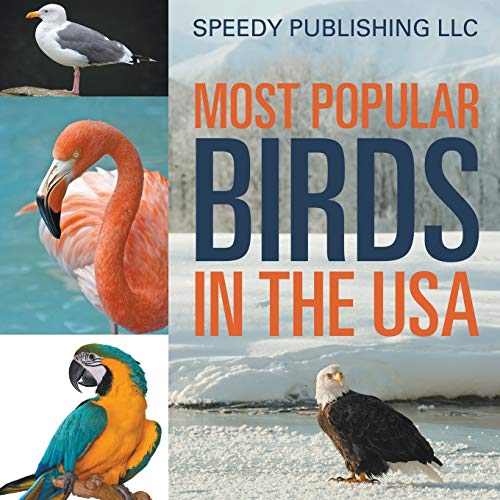 Stock image for Most Popular Birds In The USA for sale by Chiron Media