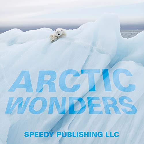 9781635013368: Arctic Wonders