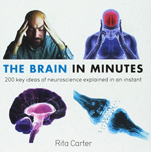 Stock image for The Brain in Minutes for sale by Bookoutlet1