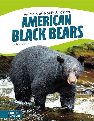Beispielbild fr American Black Bears zum Verkauf von Better World Books