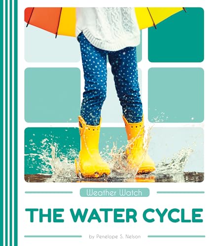 Stock image for The Water Cycle for sale by Book Deals
