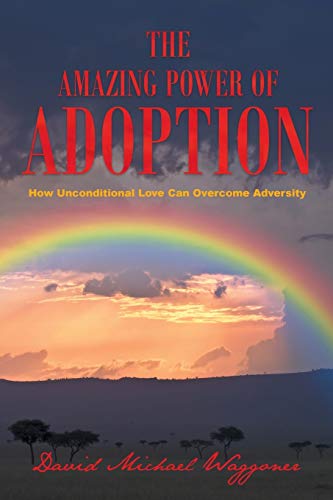 Beispielbild fr The Amazing Power of Adoption: How Unconditional Love Can Overcome Adversity zum Verkauf von Chiron Media