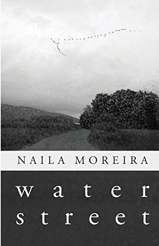 Stock image for Water Street: Poems for sale by Bibliomadness