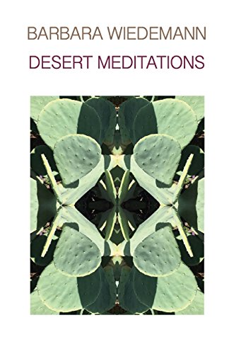 9781635344400: Desert Meditations