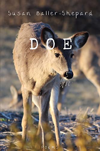 Stock image for Doe for sale by GF Books, Inc.