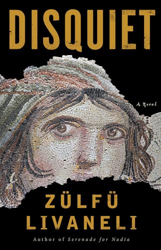 Beispielbild fr Disquiet: A Novel zum Verkauf von BooksRun