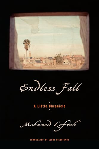 Stock image for Endless Fall: A Little Chronicle for sale by BuyBuyBooks