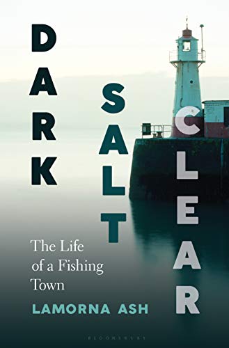 Stock image for Dark, Salt, Clear: The Life of a Fishing Town for sale by KuleliBooks