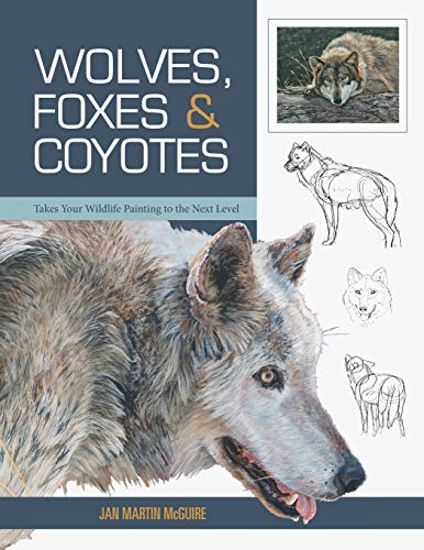 Beispielbild fr Wolves, Foxes & Coyotes (Wildlife Painting Basics) zum Verkauf von AwesomeBooks