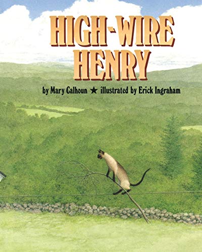 Beispielbild fr High-Wire Henry zum Verkauf von Books From California