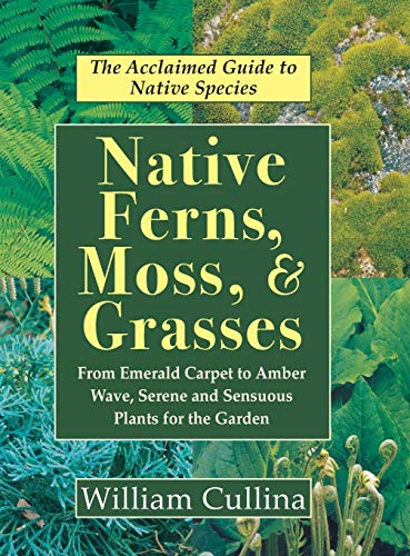 Beispielbild fr Native Ferns, Moss, and Grasses zum Verkauf von ThriftBooks-Dallas