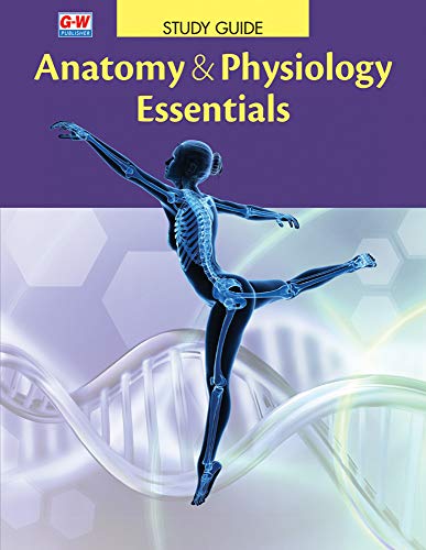 Stock image for Anatomy & Physiology Essentials for sale by HPB-Red