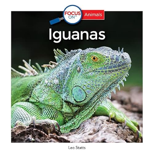 9781635840209: Iguanas