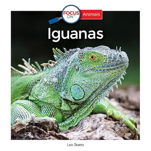 Stock image for Iguanas for sale by HPB-Movies