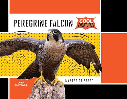 Stock image for Peregrine Falcon for sale by HPB-Movies