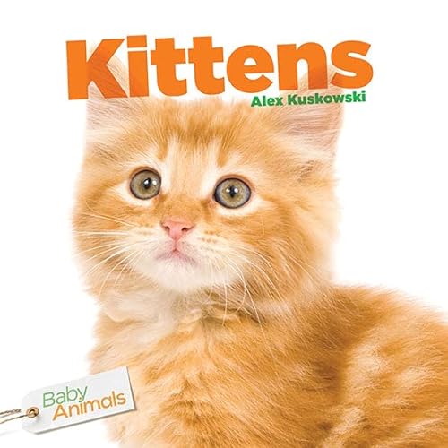 Imagen de archivo de Kittens a la venta por HPB-Movies