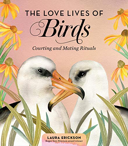 Beispielbild fr Love Lives of Birds The Courti zum Verkauf von SecondSale